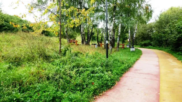 Парк Северное Тушино