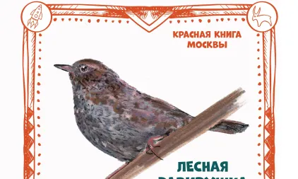 С 14 по 18 октября открылись новые музеи и усадьбы