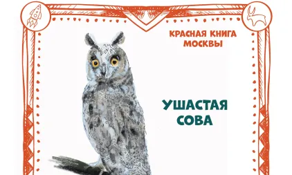 С 28 октября по 2 ноября открылись новые музеи и усадьбы