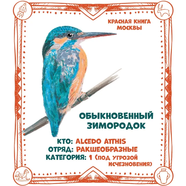 Открыты почти 200 площадок Олимпиады!