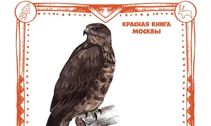 С 18 по 22 ноября открылись новые музеи