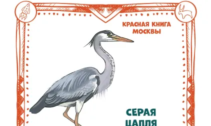 Почти 300 площадок открыты для участников! 
