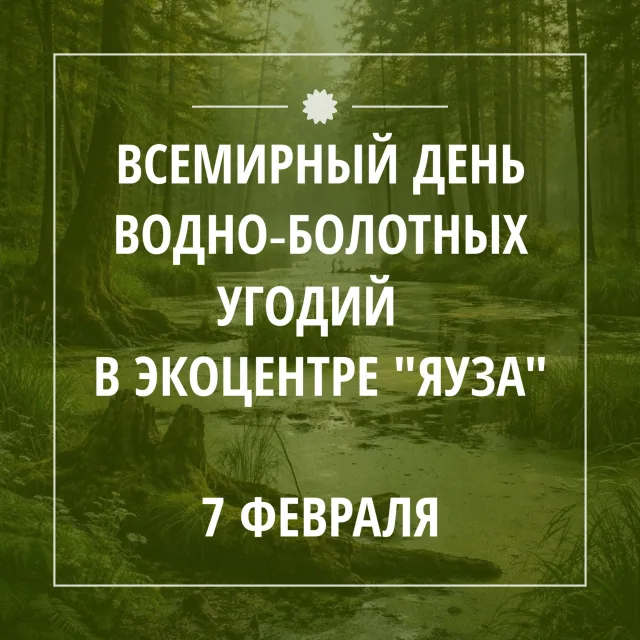 Празднуем Всемирный день водно‑болотных угодий вместе с экоцентром "Яуза"
