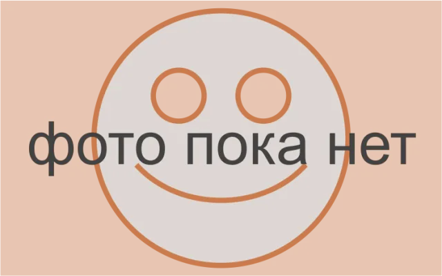 Литературный музей имени Татьяны Снежиной