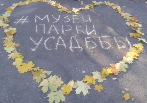 Фотографии с олимпиады 2016/2017 уч. года