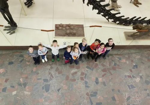 Фотографии с олимпиады 2017/2018 уч. года