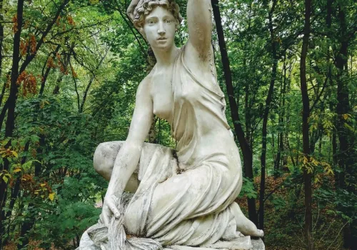 Фотографии с олимпиады 2019/2020 уч. года