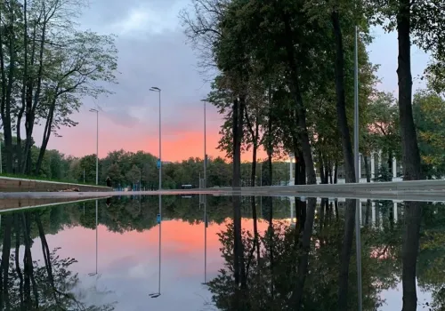 Фотографии с олимпиады 2019/2020 уч. года