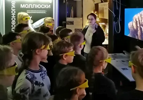 Фотографии с олимпиады 2019/2020 уч. года