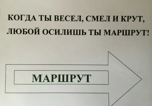Фото зверушек-путешественниц