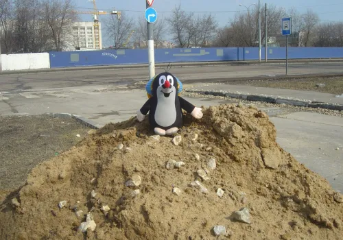Фото зверушек-путешественниц