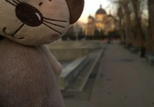 Фото зверушек-путешественниц