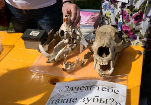 Закрытие олимпиады 2015
